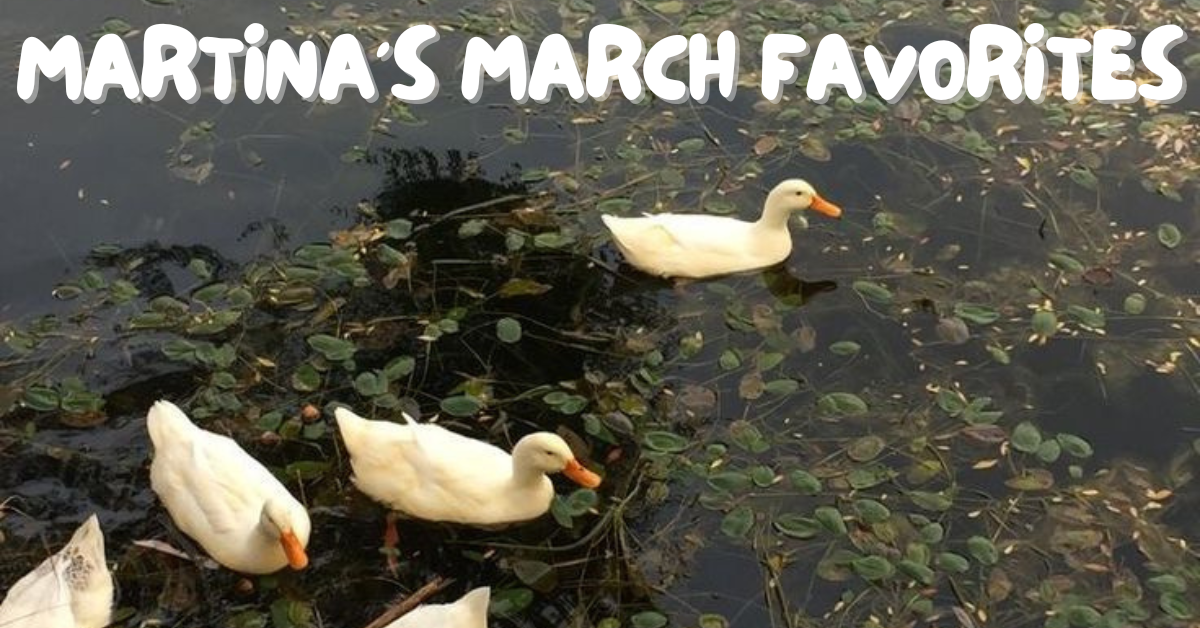 martina’s march faves