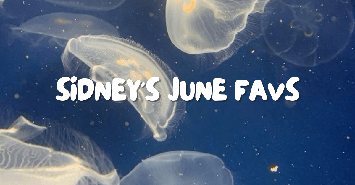 Sidney’s June Favorites